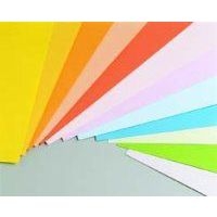 Ramette couleur vive 500 feuilles 80g A3 à la teinte - gris - Image principale