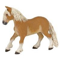 Atelier équestre - Image principale