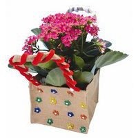 Sacs à fleurs en toile de jute - Image principale