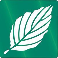 Ensemble de 12 pochoirs variétés de feuilles d'arbres 200 x 200 mm - Image principale