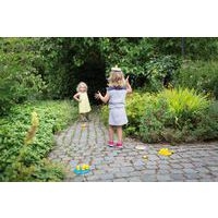 Course d'oiseaux - Image principale