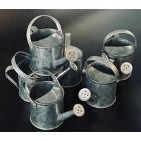 Arrosoir en zinc 60 x 120 x 60 mm (Lot de 6) - Image principale