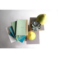 Rhodiarama carnet souple couleur sauge A5 160pages ligné 90g - Image 4