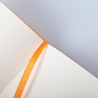 Webnotebook orange 9 x 14cm 192pages uni fermeture élastique - Image 2
