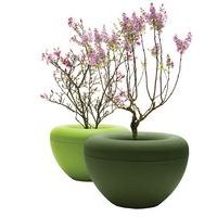 Jardinière Scoop intérieure Manga Street - Image 8