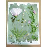 Kit 2 flacons préparation cyanotype - Image 4