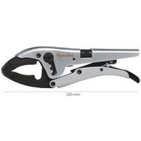 Pince étau 250 mm - Manutan - Image 3