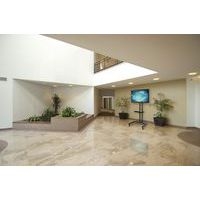 Support mobile TRVT561 - Peerless - Image 2