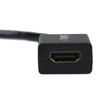 Adaptateur/Convertisseur vidéo DisplayPort vers HDMI - M/F - 1920x1200/1080p - Image 2