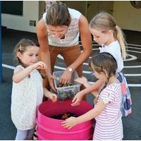 Lombricomposteur - Image 5