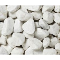 Galets décoratifs pour Aquabac - Image principale