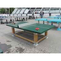 Table de tennis de table Natura filet Sécuri® - plateau vert - Image 3