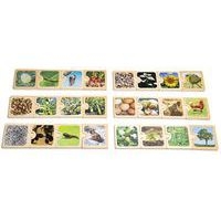 Cycle de vie - Image principale