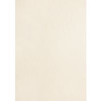 Carton veiné cuir pour la reliure - Pavo - Image principale