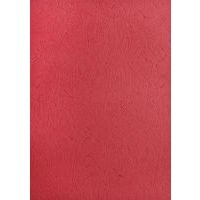 Carton 'veiné cuir' (Boite de 100) - rouge - Image principale