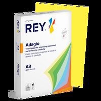 Ramette couleur vive 500 feuilles 80g A3 à la teinte - Rey - Image principale