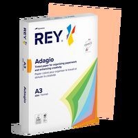 Ramette couleur vive 500 feuilles 80g A3 à la teinte - Rey - Image 3