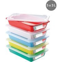 Set de bacs plats témoins avec couvercle - GILAC - Image 4