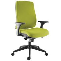 Fauteuil Harmonia accoudoirs réglables Pistache - Image principale