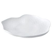 Assiette en porcelaine-Atlantis-Chef'S Collection-Vista Alegre - Image principale