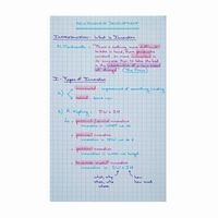 Chemise 3 rabats à élastiques +25 fiches bristol assorties - Image 2