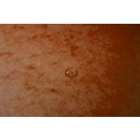 Chemise élastique et rabats A4 Orange - Image 4