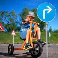 Grand tricycle gamme évolutive - Image 7