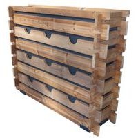 Mur végétal - Image 2