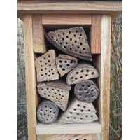 Tour hotel à insectes toiture plate Carre Serre - Image 4