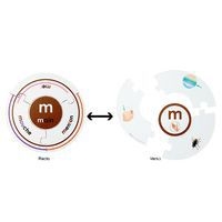 Jeux d'entraînement les roues des sons 1 - Image 2