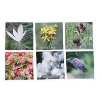 Mémo nature fleurs - Image 3