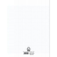 Cahier travaux pratiques 24x32cm 96pages seyes + uni 70g/90g - Image 2