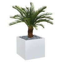 Bac bas métal O'CARRE Blanc sur roulettes Palmier - Image principale