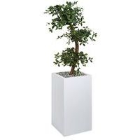 Bac haut métal O'CARREE Blanc sur roulettes Bonzaî Haut - Image principale