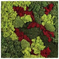 Cadre végétal n 12 Gris - Image 2