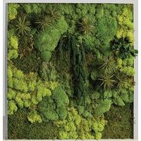 Cadre végétal n 19 Blanc - Image 2