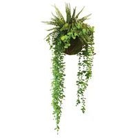 Plantes suspendues KYOTO FOUGERES EUCALYPTUS - Image principale