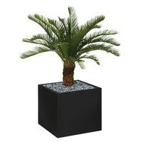 Bac bas métal O'CARRE sur patins Palmier - Image principale