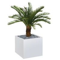 Bac bas métal O'CARRE sur patins Palmier - Image 2