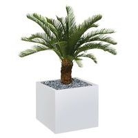 Bac bas métal O'CARRE sur roulettes Palmier - Image 2