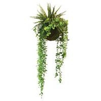 Plantes suspendues KYOTO - Image 2