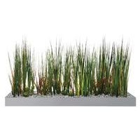 Plateau végétal COLLINE - Image 5