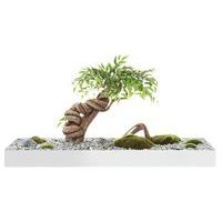 Plateau végétal COLLINE - Image 6