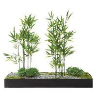 Plateau végétal COLLINE - Image 8