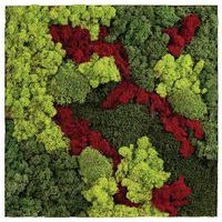 Cadre végétal n 12 - Image 2