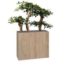 Jardinière bois BOSCO Bonzaî - Image 2