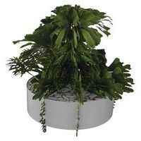 Composition SUCCULENTE 1 Ø 320 mm Gris - Image principale