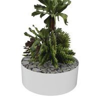 Composition SUCCULENTE 2 Ø 255 mm Blanc - Image principale