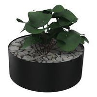 Composition ZENITUDE 2 - Image 3