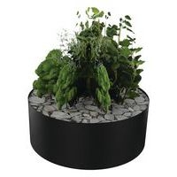 Composition AROMATIQUE 2 - Image 2